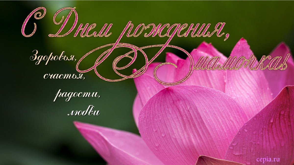 Поздравления с днём рождения мвме