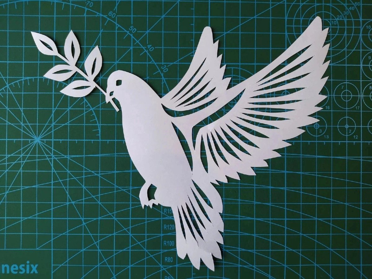 Белый голубь контур