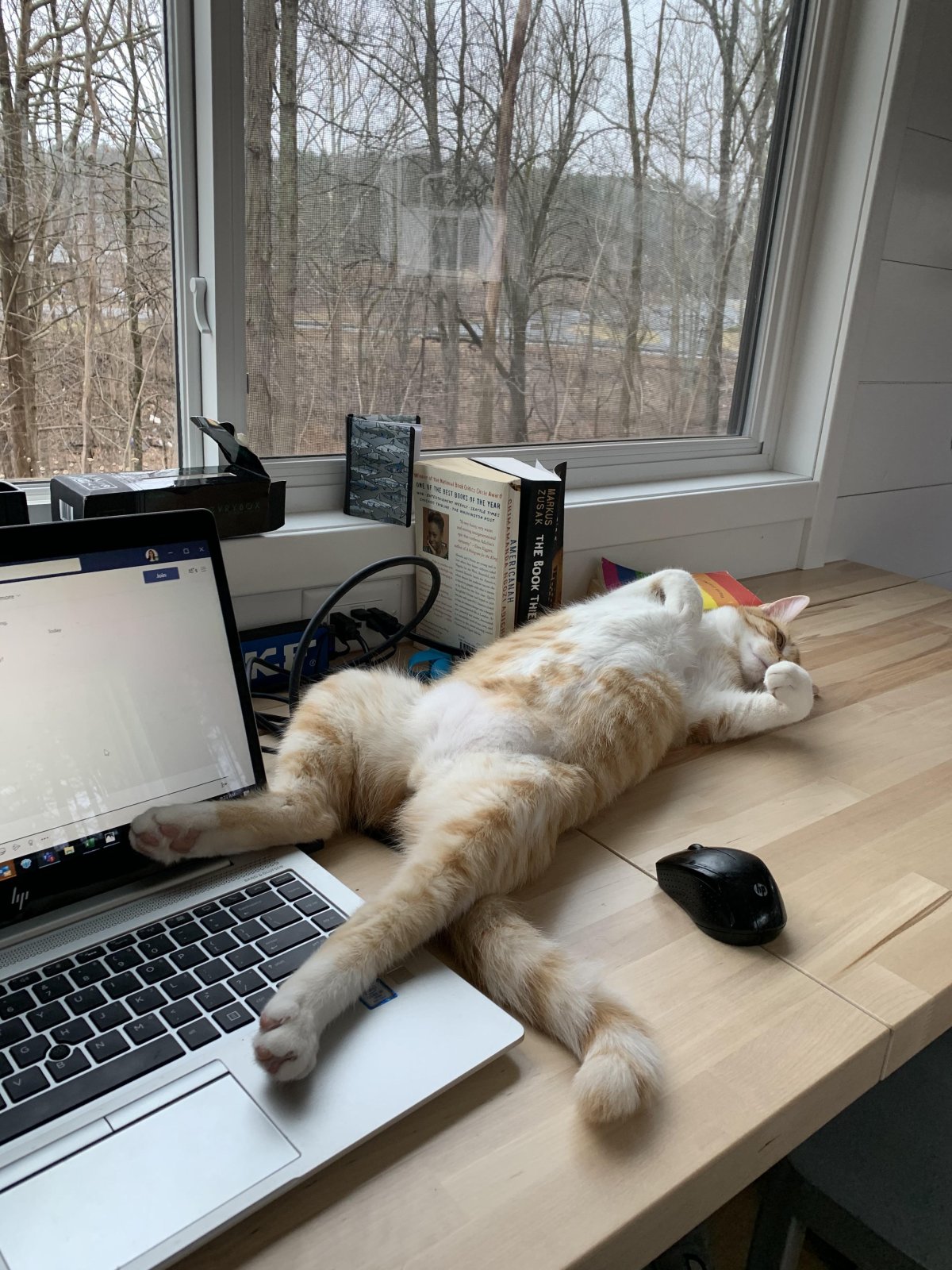 Весело на работе