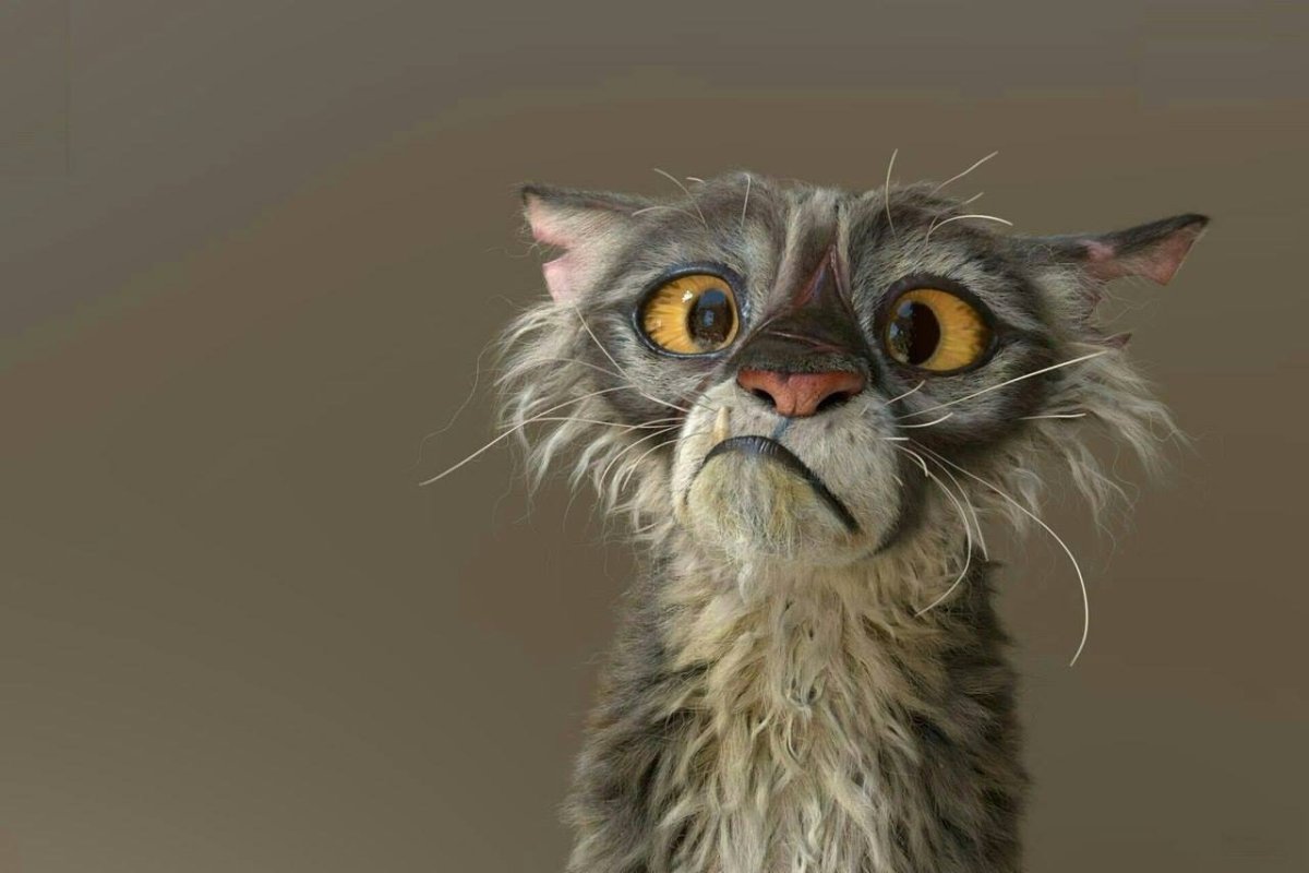 Пришла с работы смешные