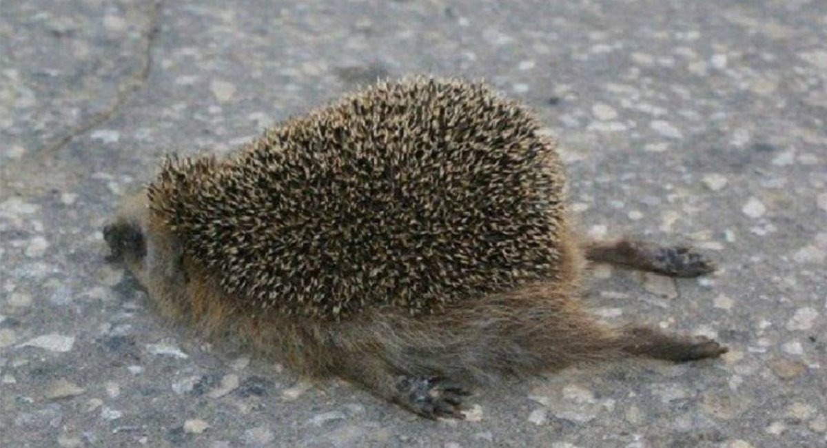 Открытки про работу