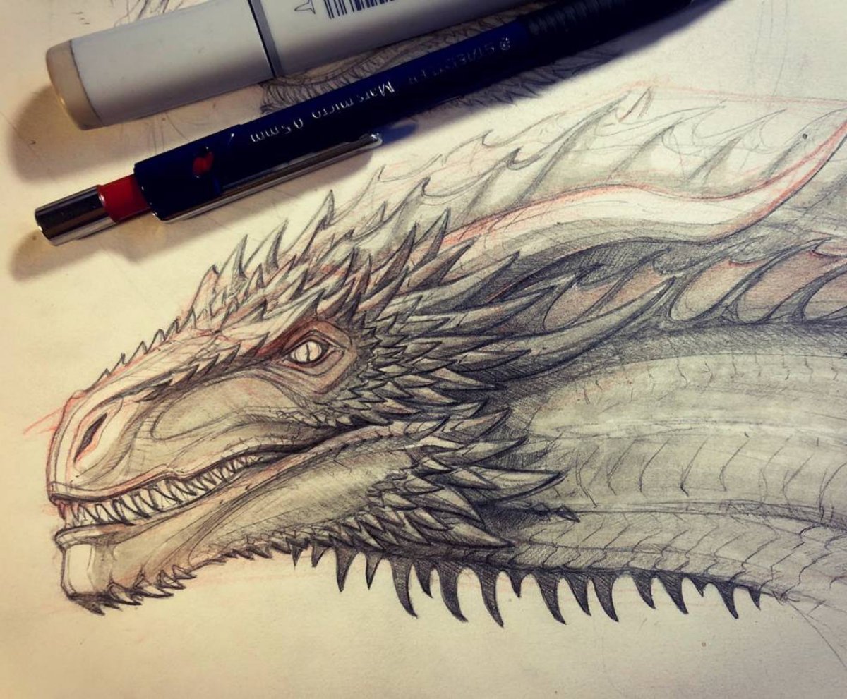 Беззубик акварелью