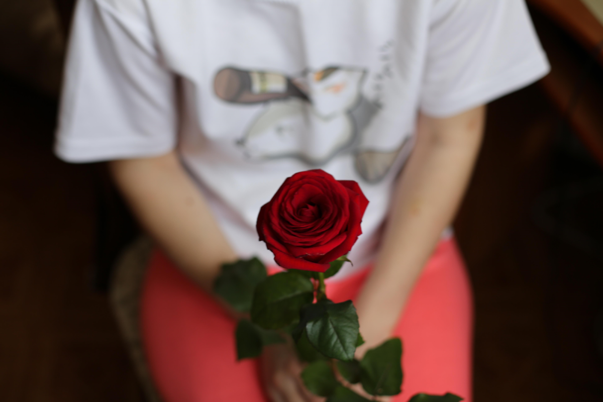 Красивые розы в руках