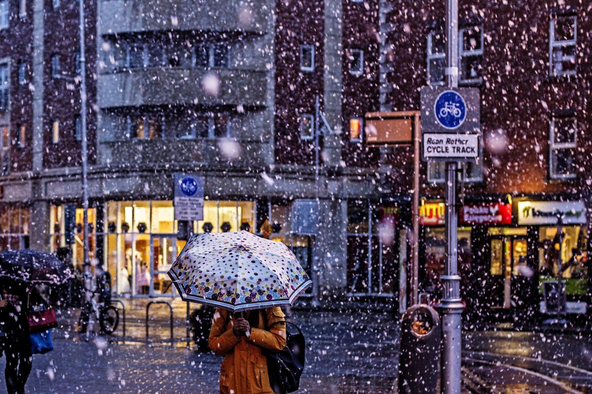 Снег в городе