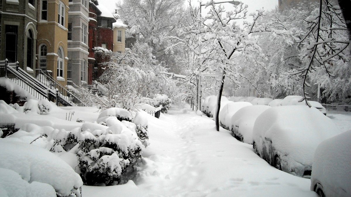 Зима в городе