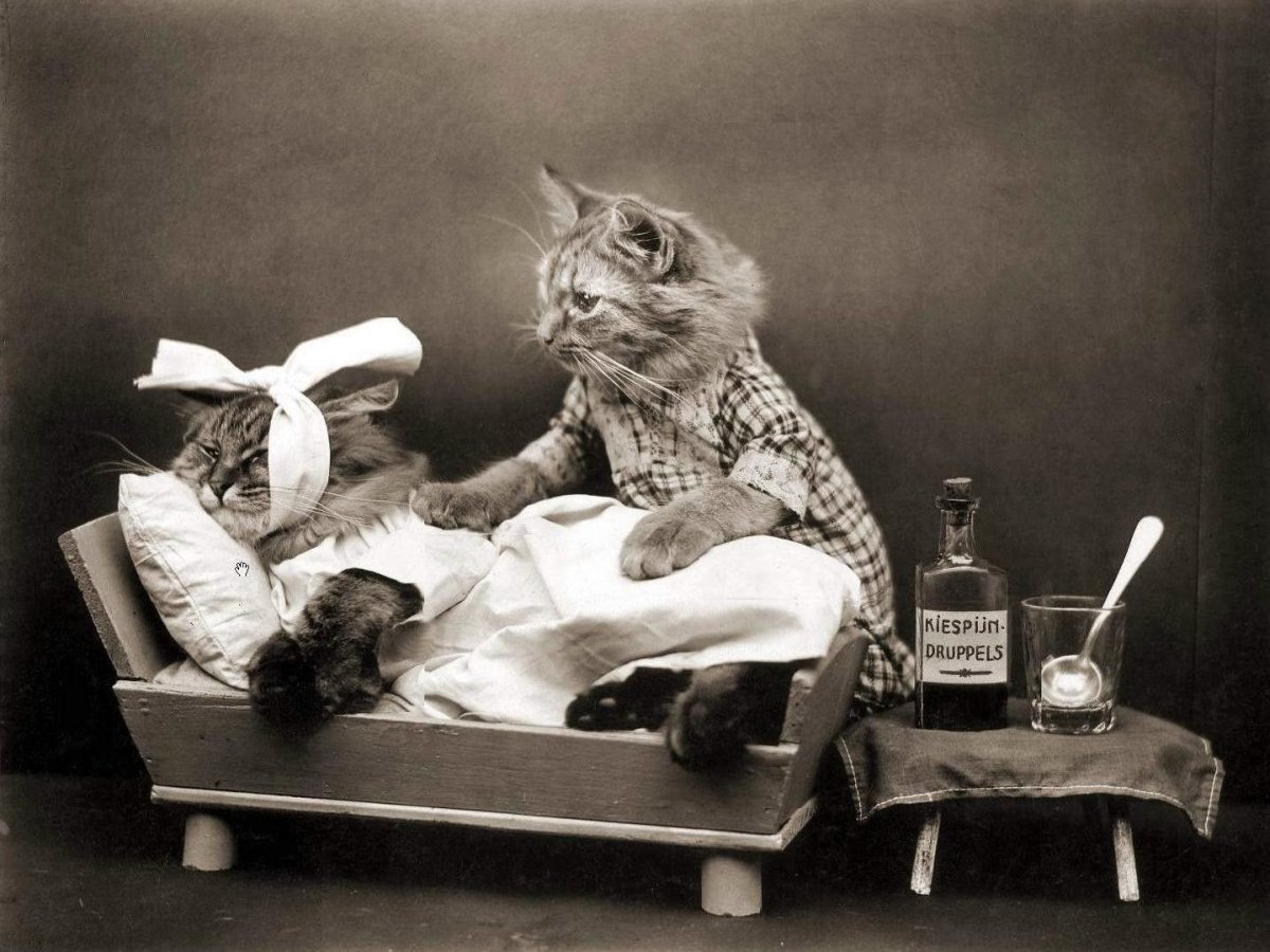 Выздоравливай доченька