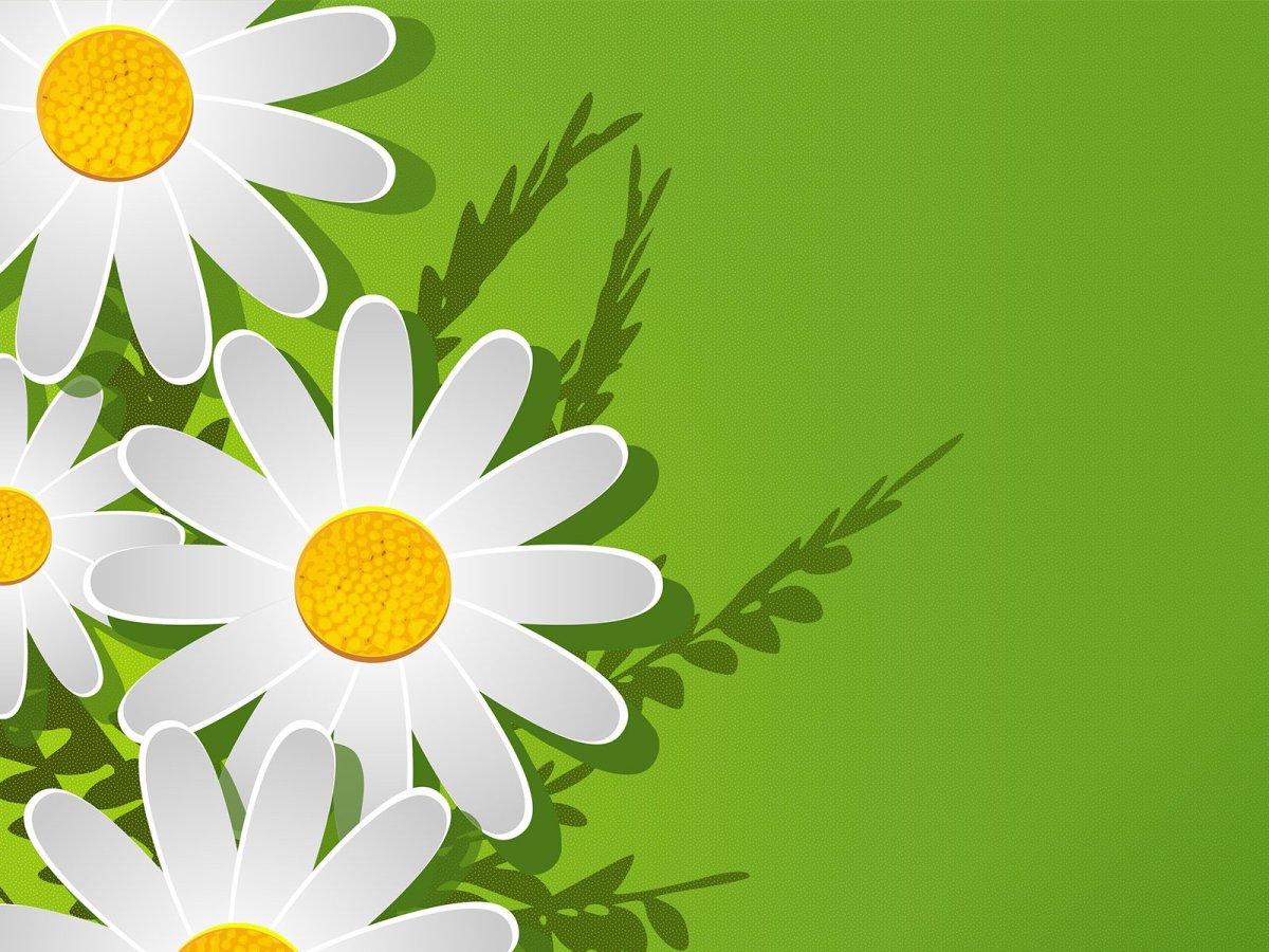 Семья в ромашках