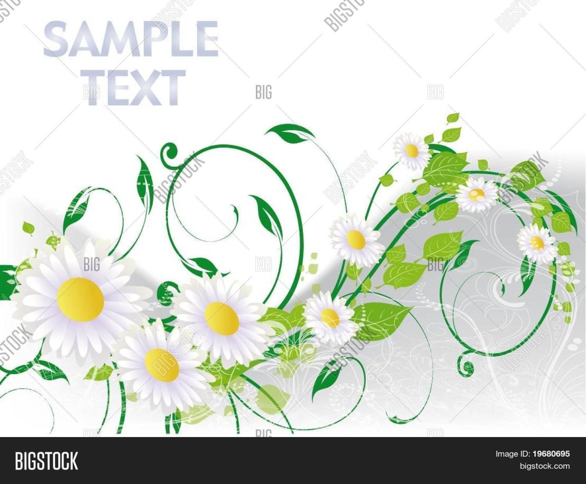 День семьи любви и верности Ромашка