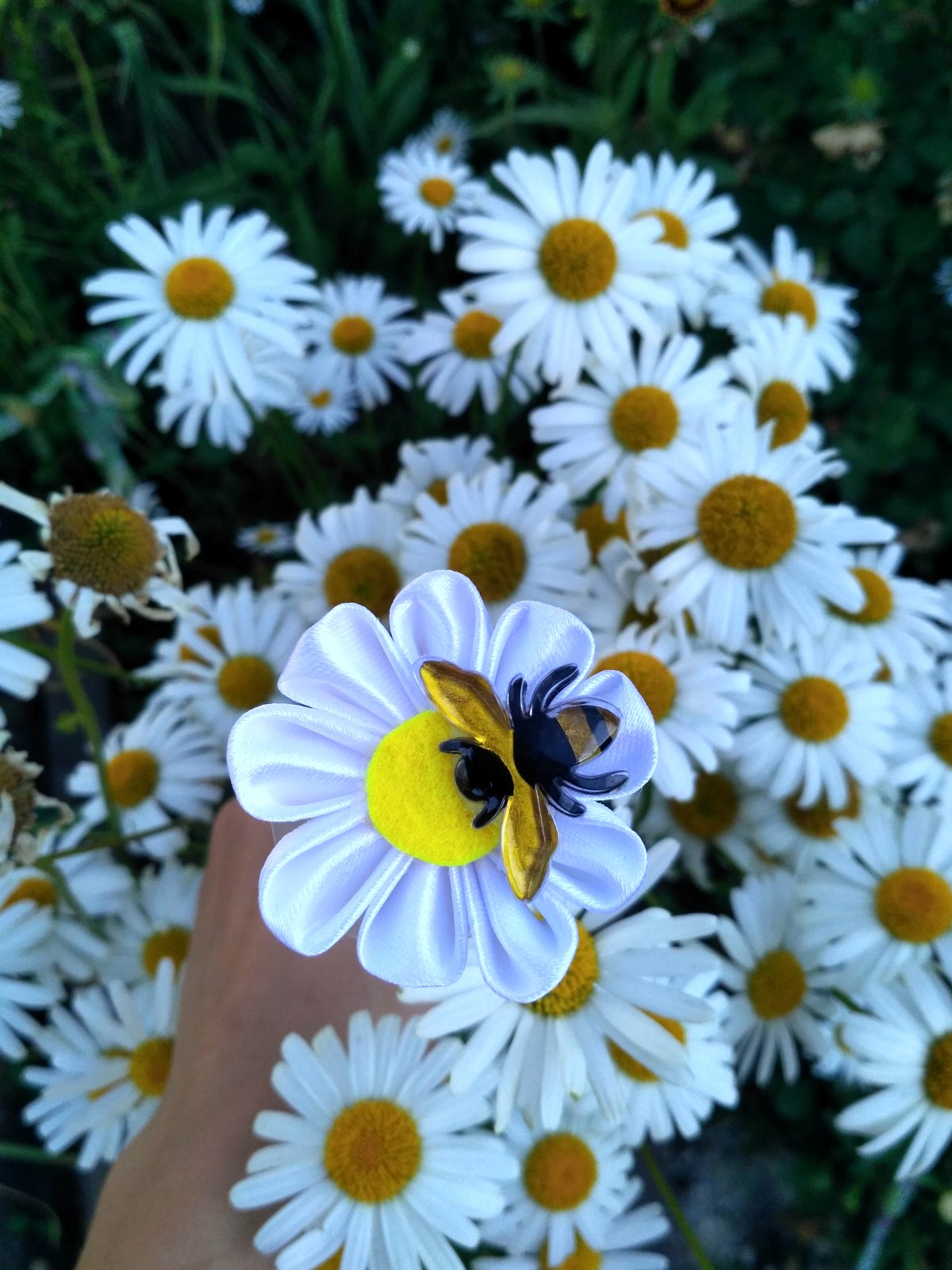 Ромашки мультяшные