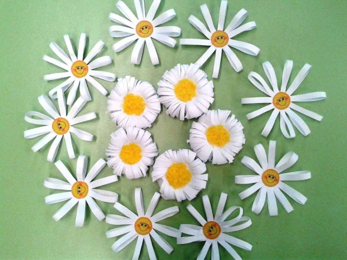 Ромашка символ на белом фоне