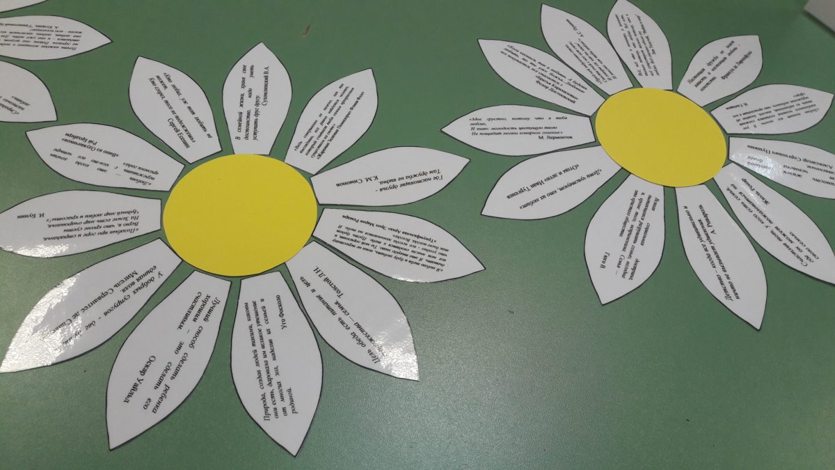 Ромашки картинки