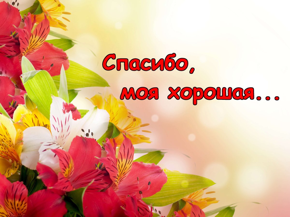 Спасибо моя дорогая
