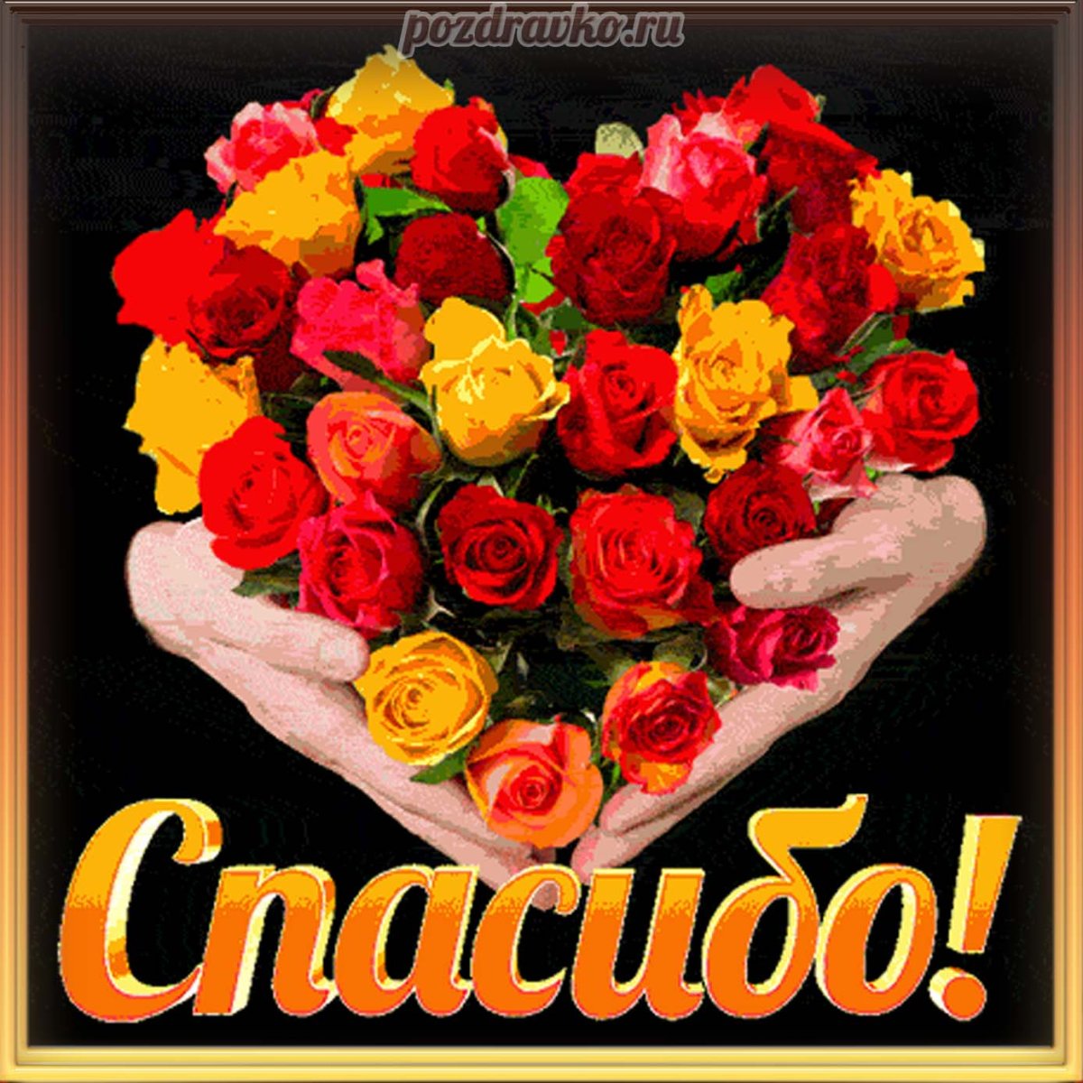 Спасибо дорогая цветы
