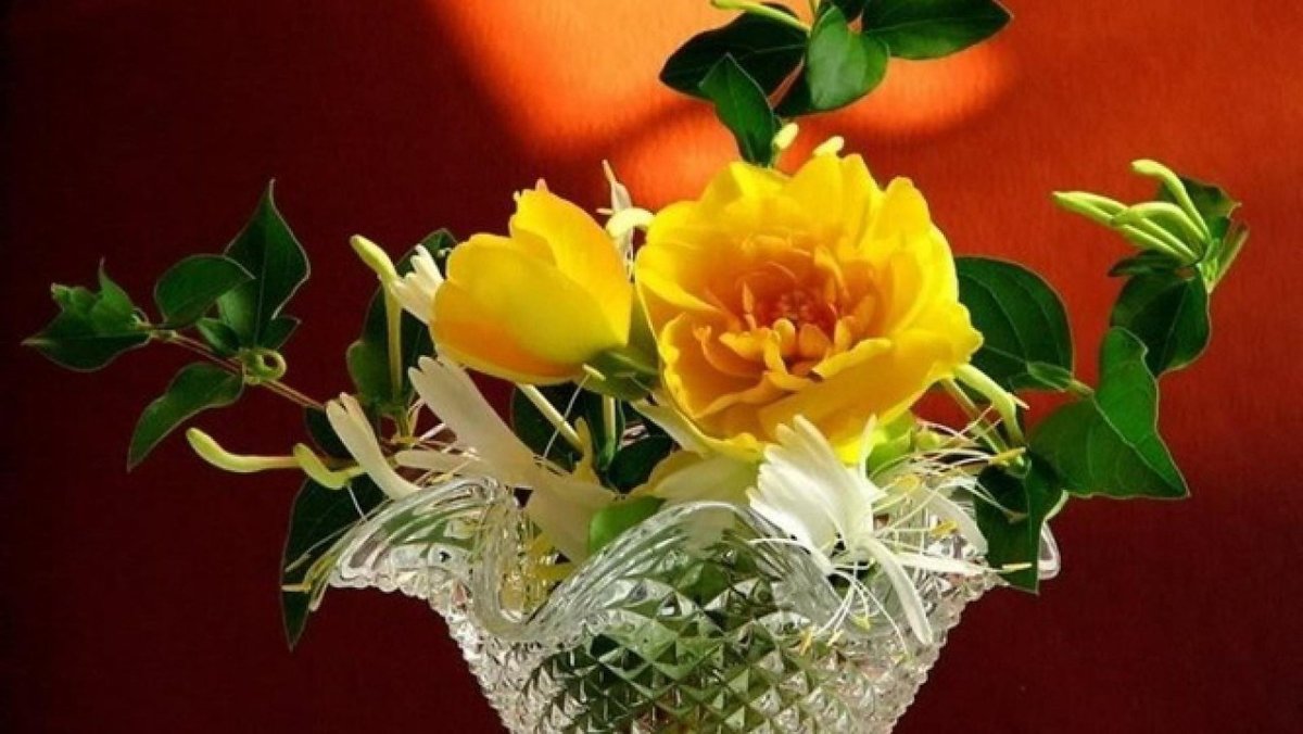 Спасибо за внимание красота