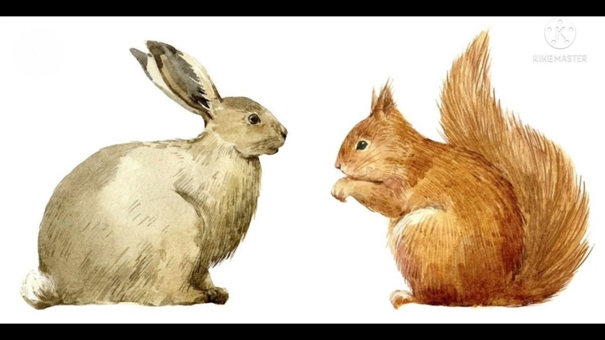 Заяц и Белочка