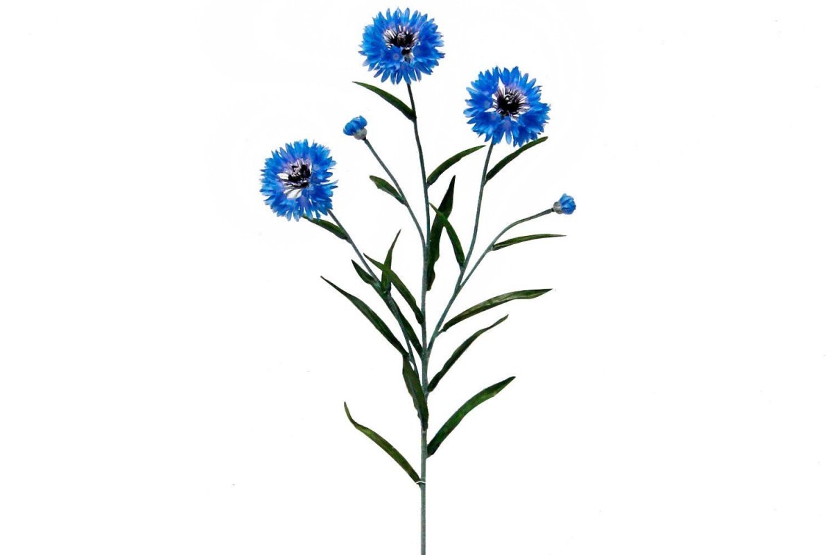 Голубые полевые цветы стилизация