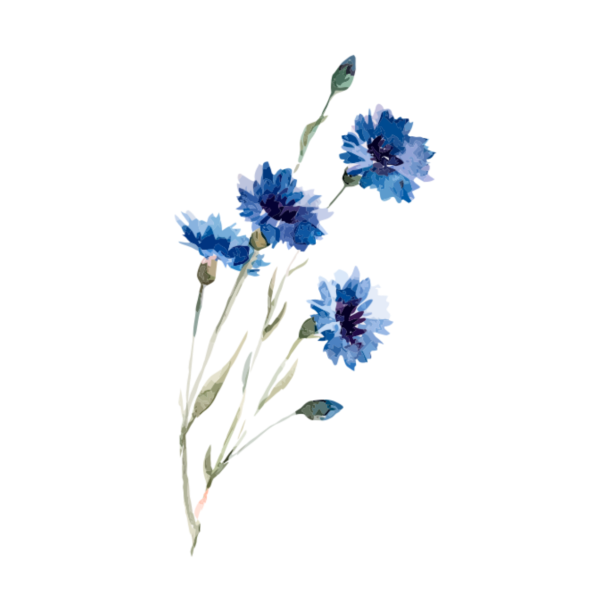 Васильки орнамент