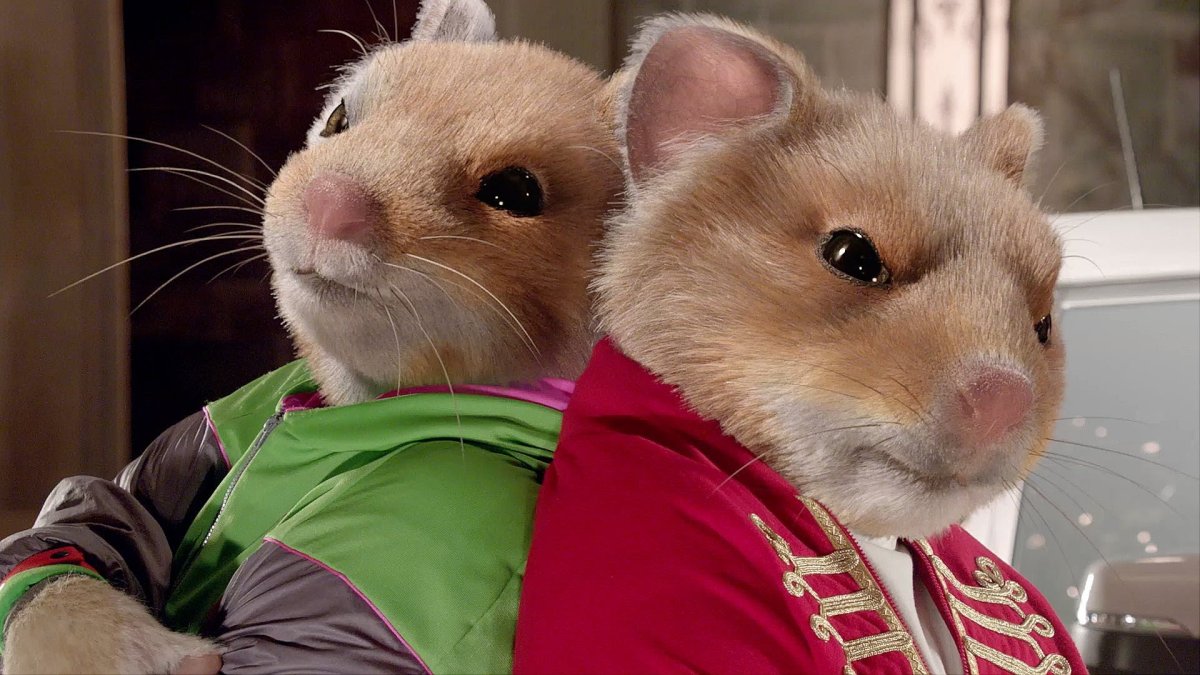 Братья хомяки