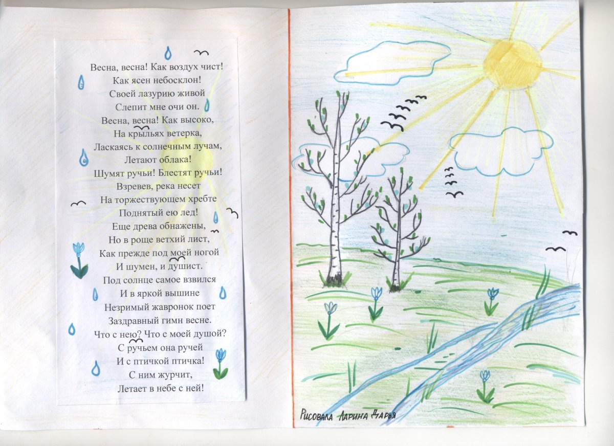 Черёмуха душистая