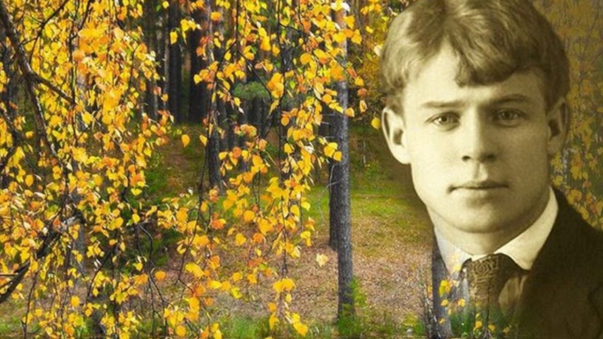 Черемуха плакучая