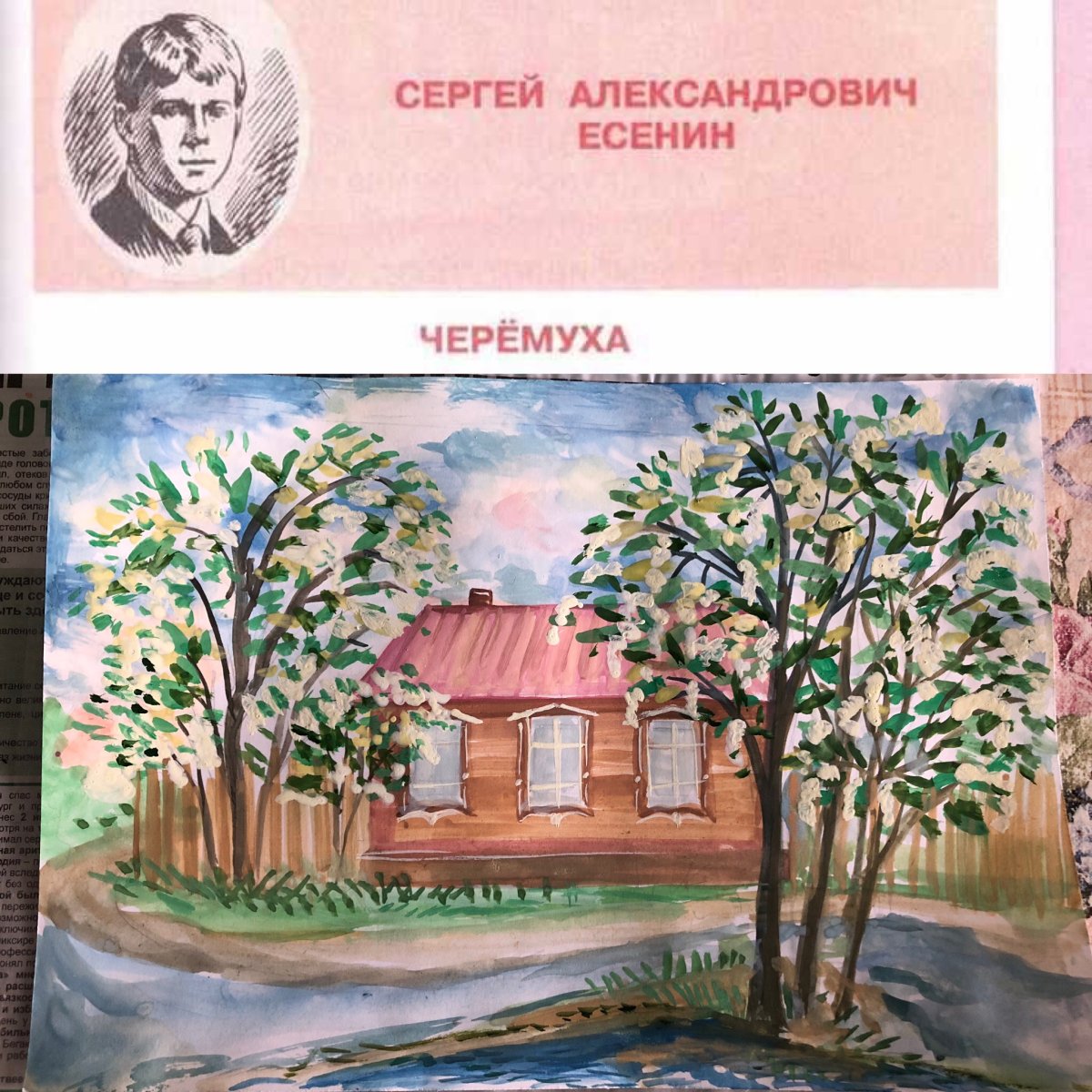 Черёмуха душистая