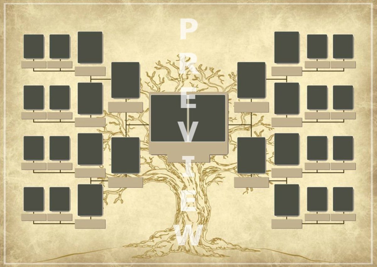 Семейное Древо 5 поколений
