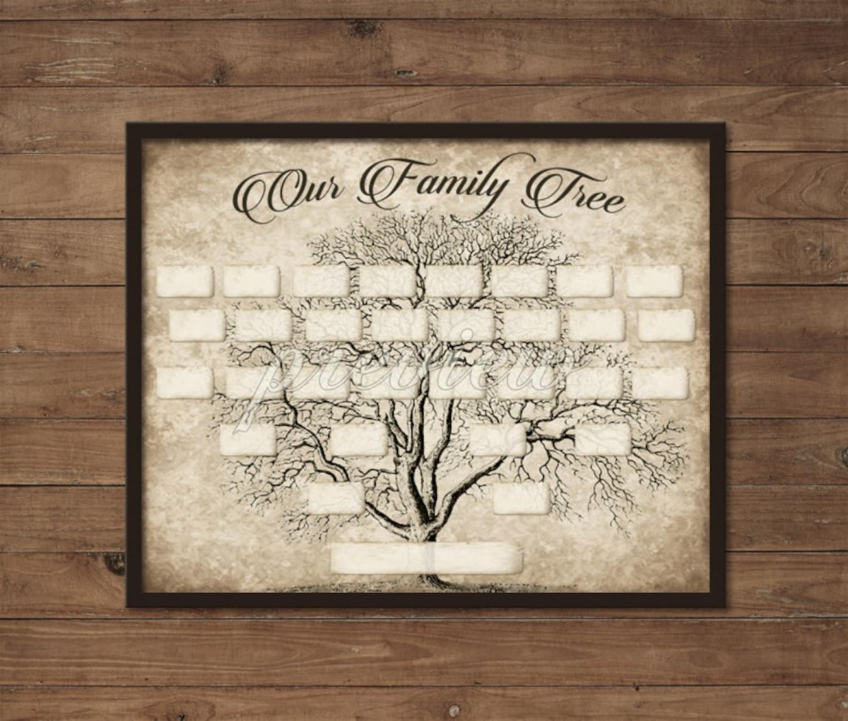 Династия Ямато Древо