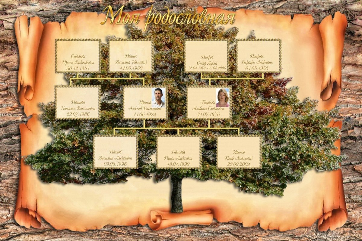 Рисунки лиц для родословного дерева