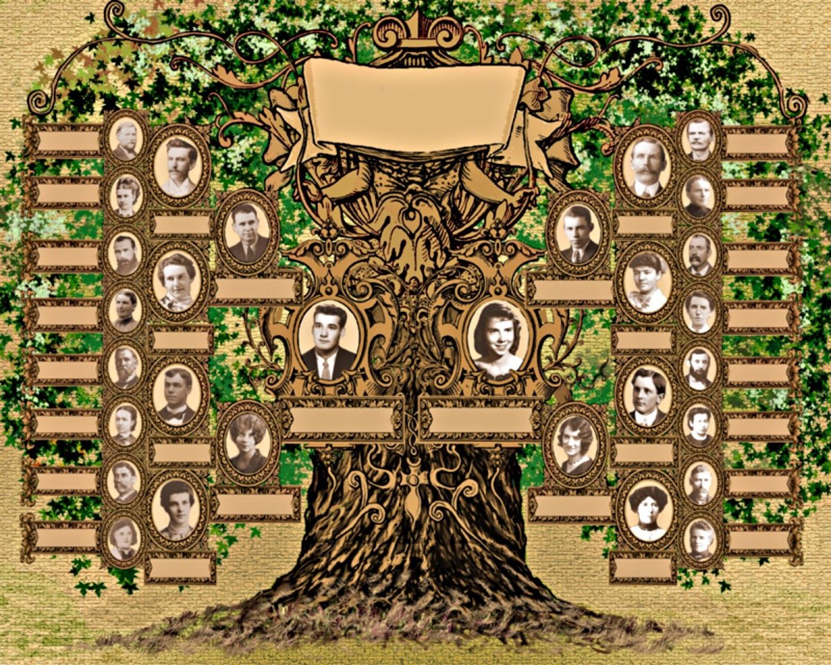 Родословная дерево семьи