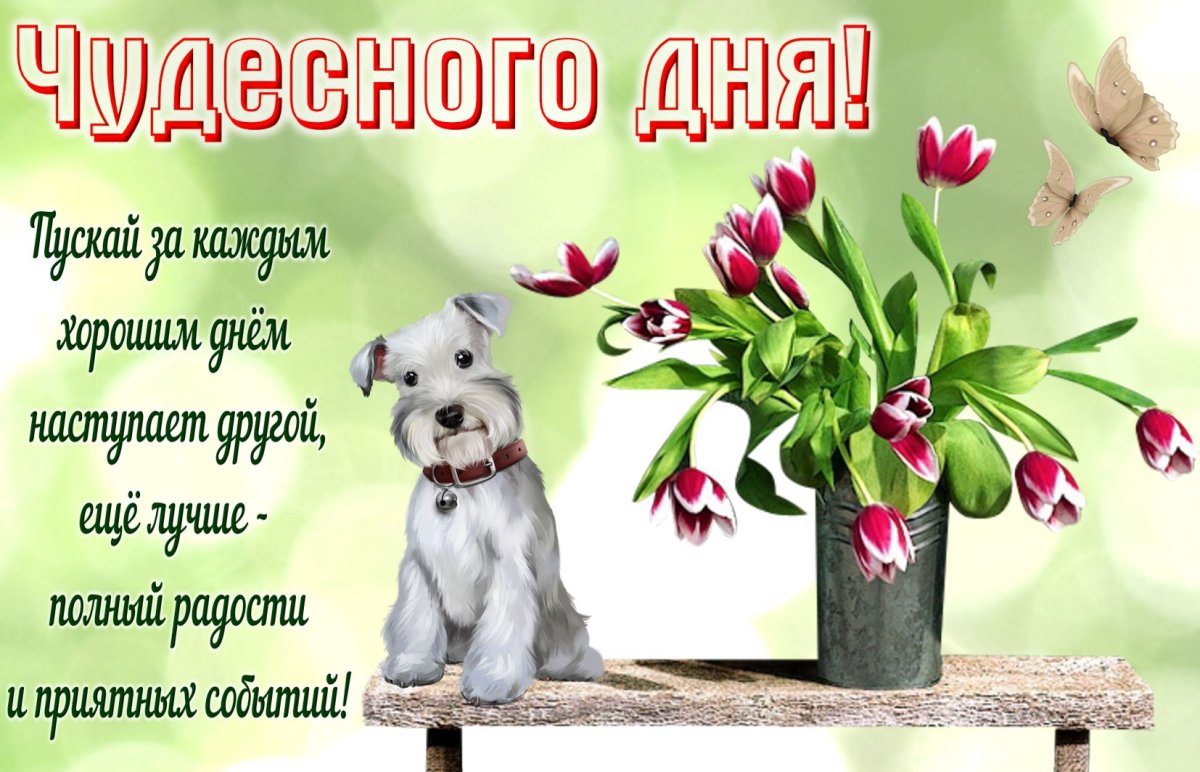 Открытки с пожеланиями