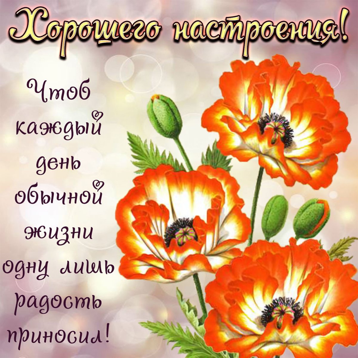 Добрый вечер подруга