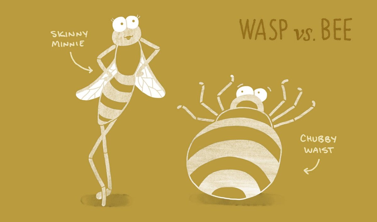 Приколы про ОС