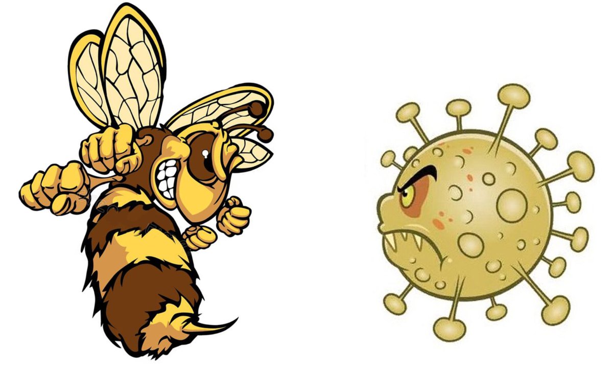 Пчёлы против мёда значение