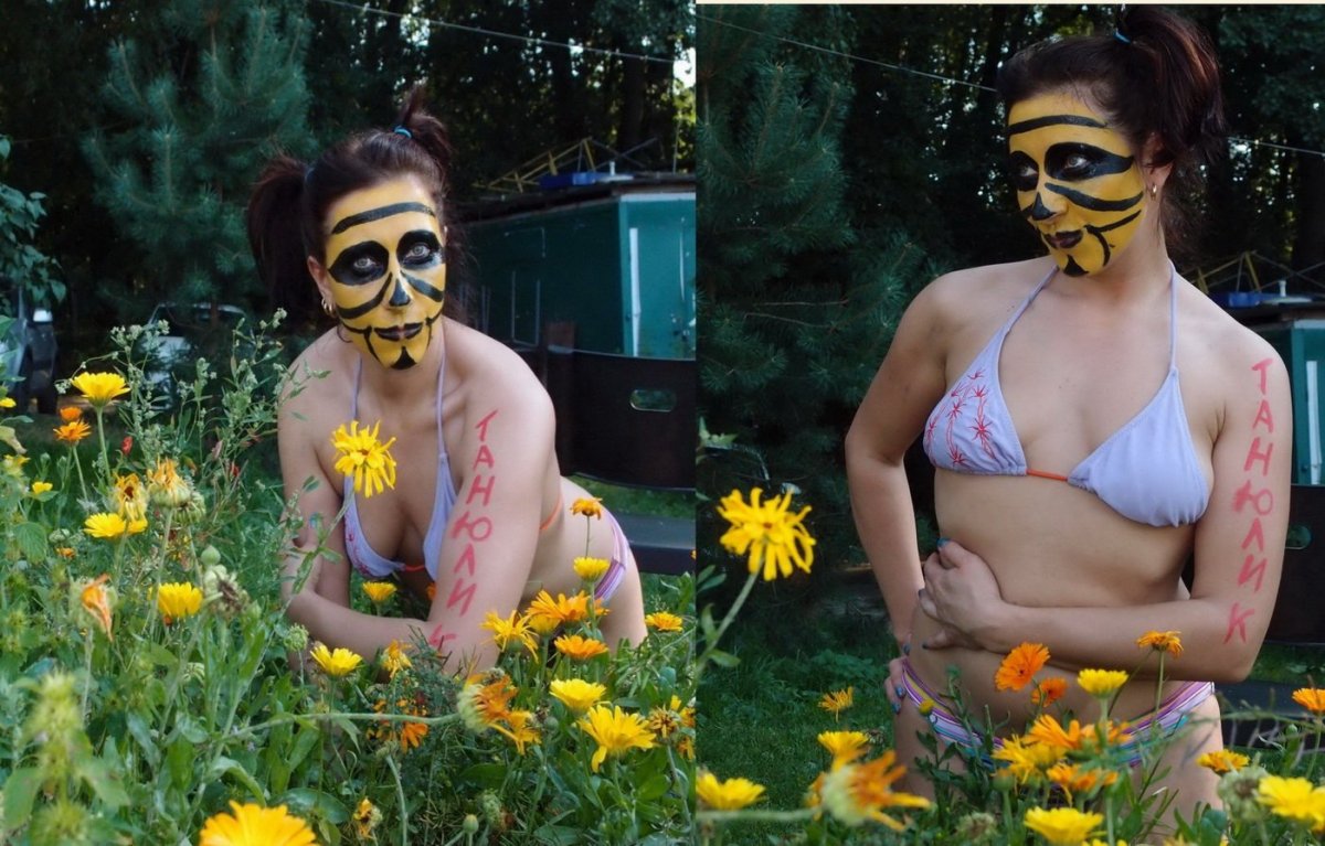 Фото пчелок прикольные