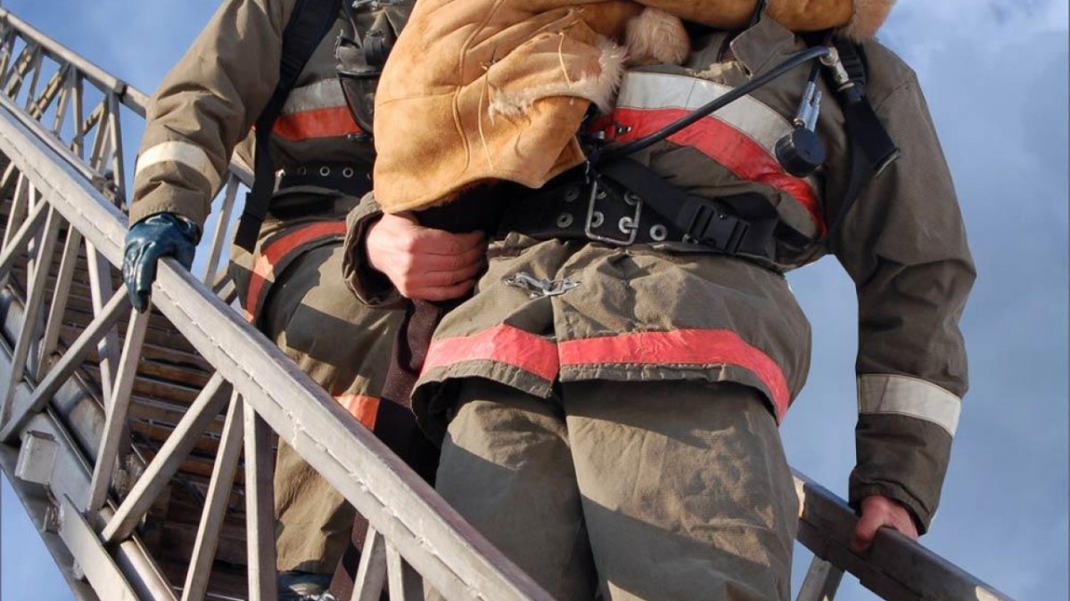 День спасателя фото