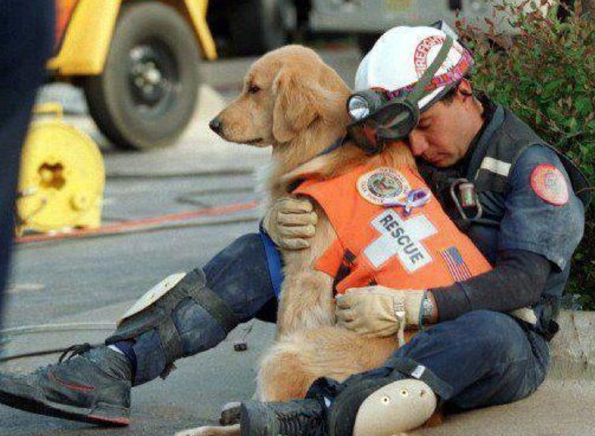 Рисунок пожарная безопасность