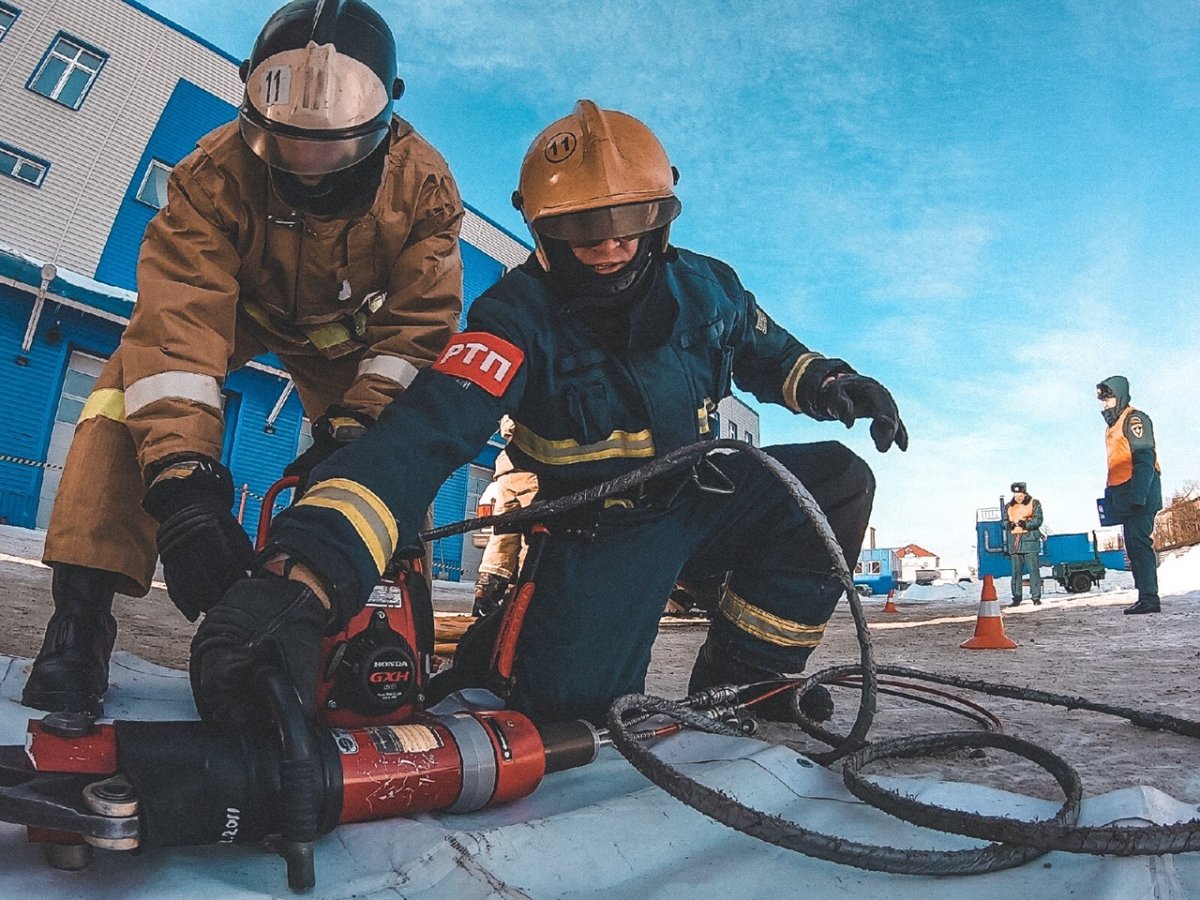 МЧС спасает животных