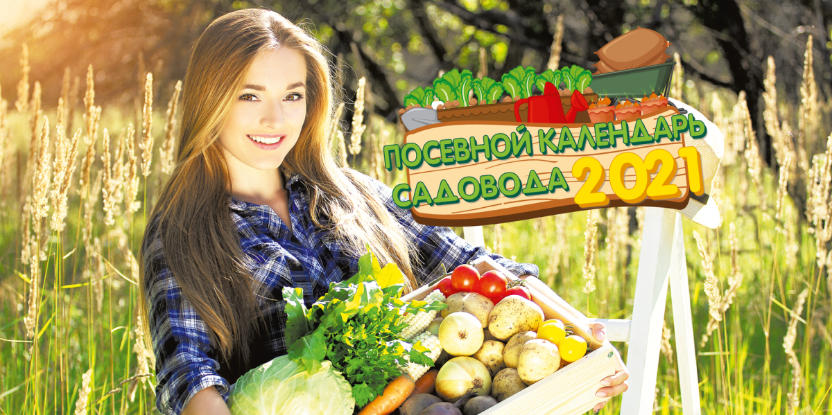 Женщина в огороде