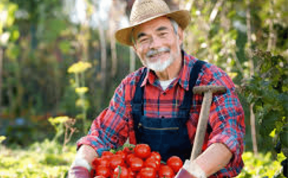 Фермеры садоводы