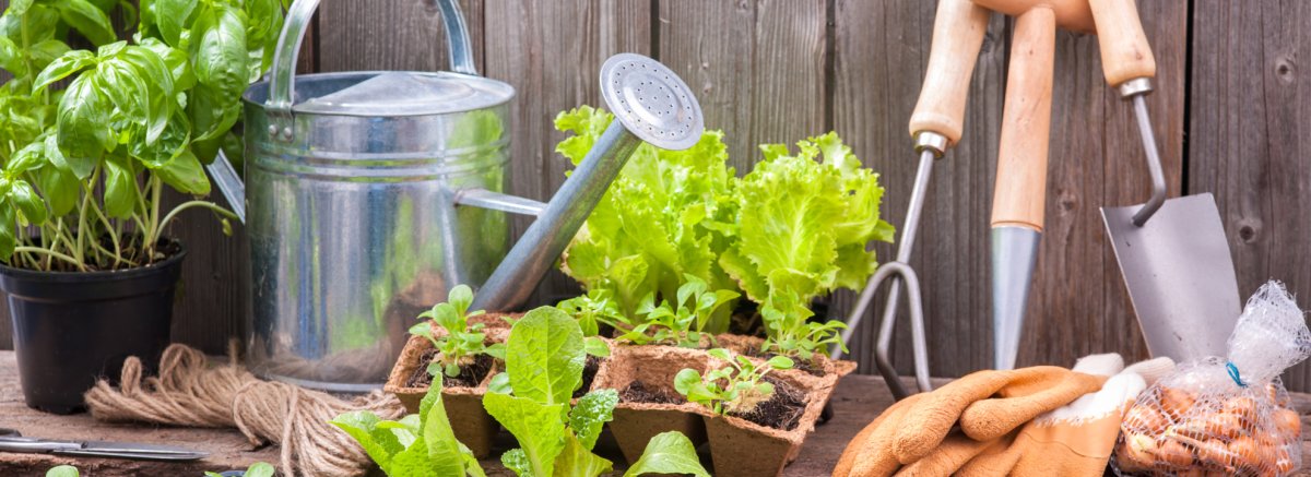 Полезные материалы для садоводов