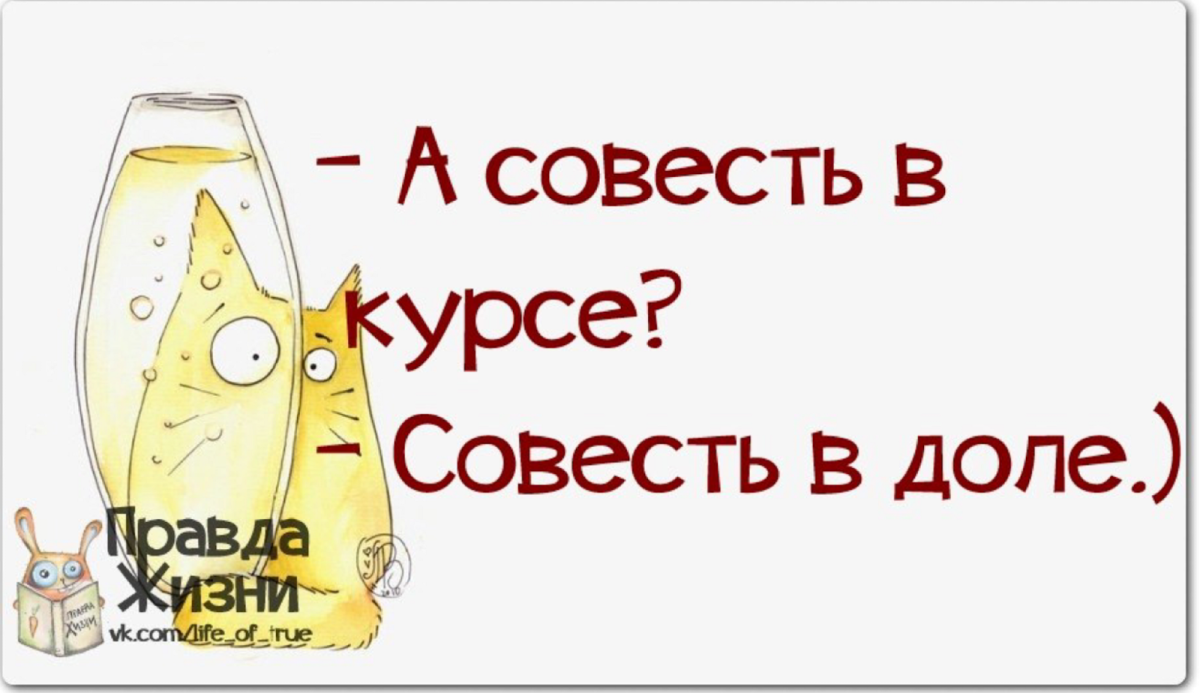 Фразы про совесть смешные