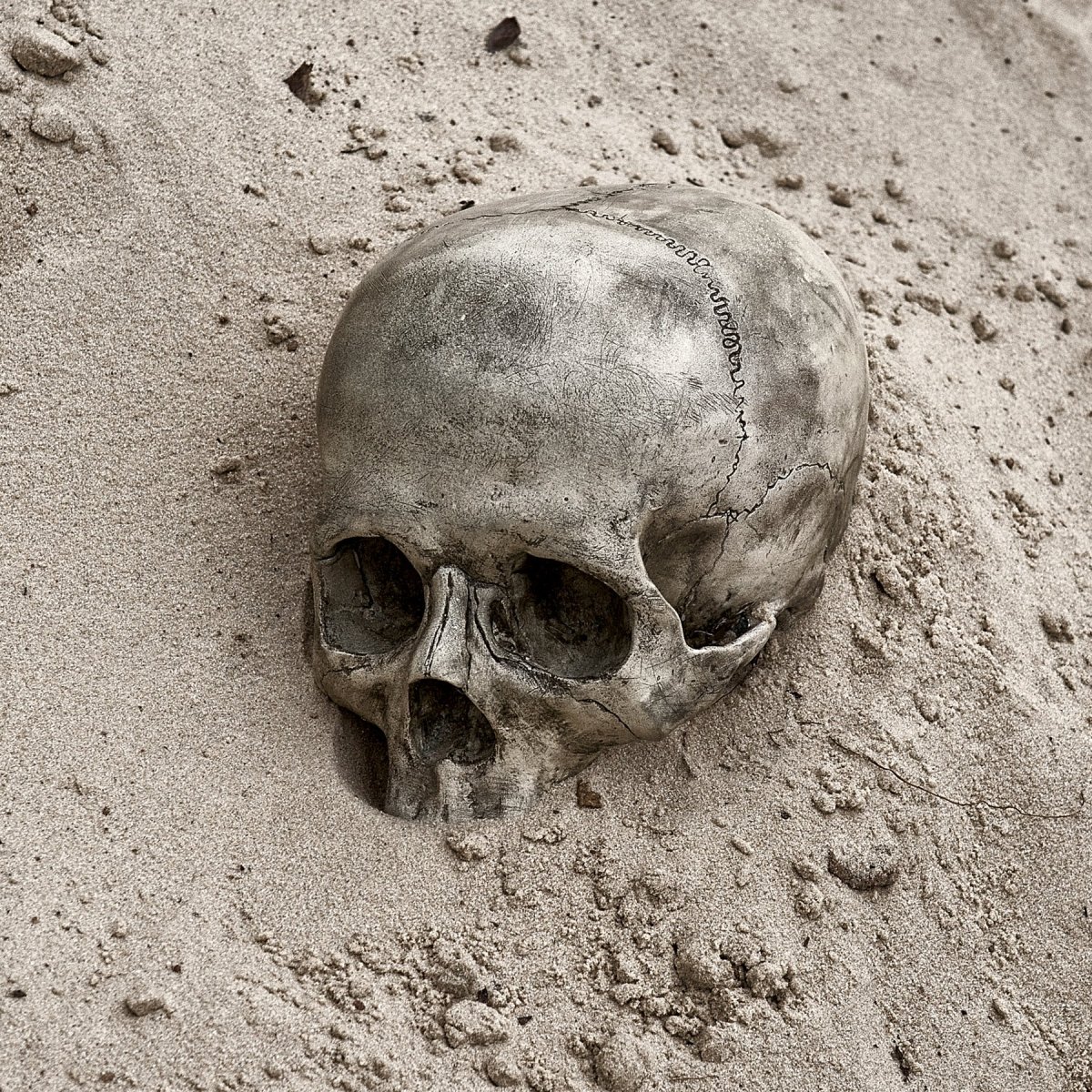 Череп в пустыне