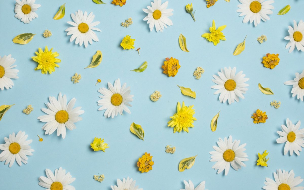 Розовая ткань с ромашками