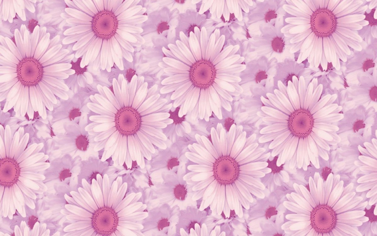 Обои в цветочек