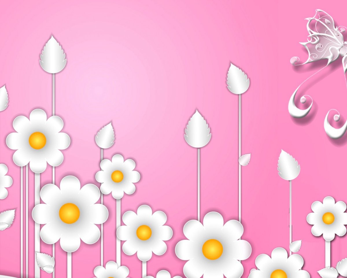 Ромашки на розовом фоне