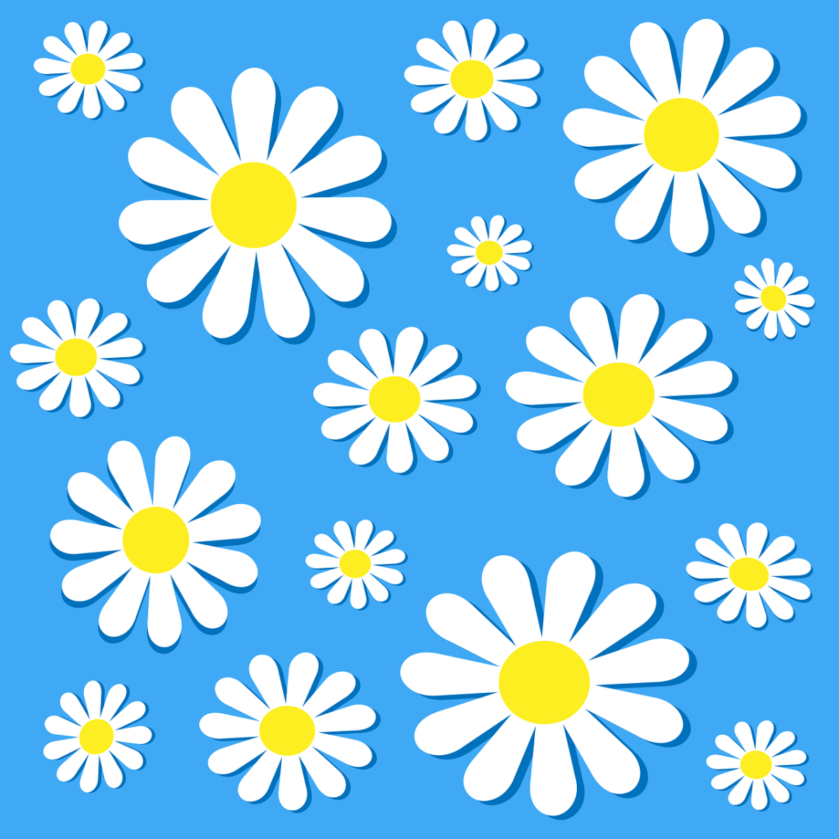 Ромашки на закате