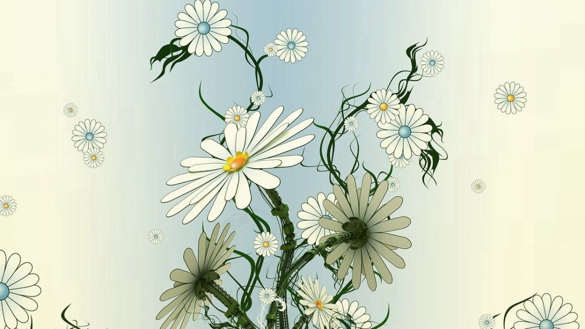 Розовые герберы