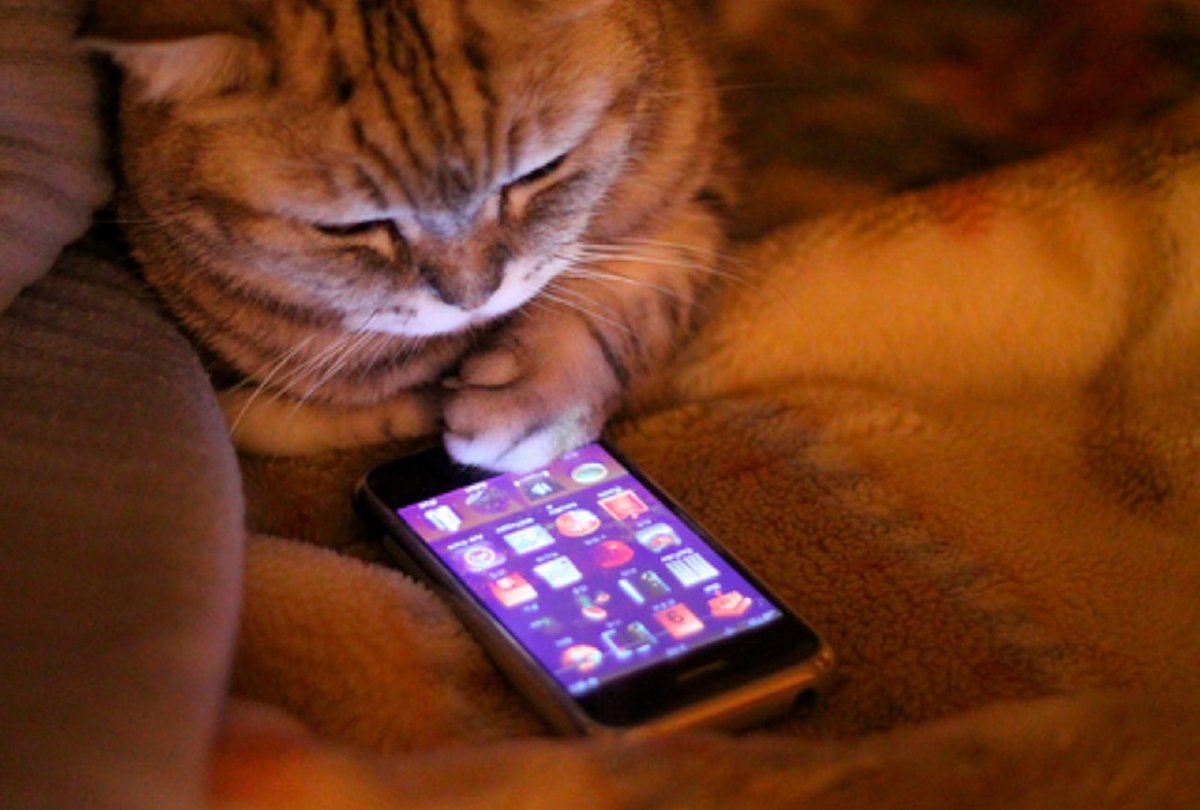 Женщина и мужчина по телефону