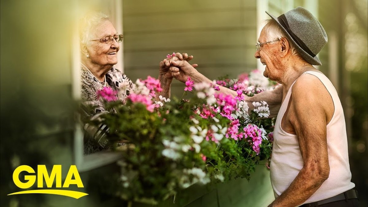 Бабушки на лавке рисунок