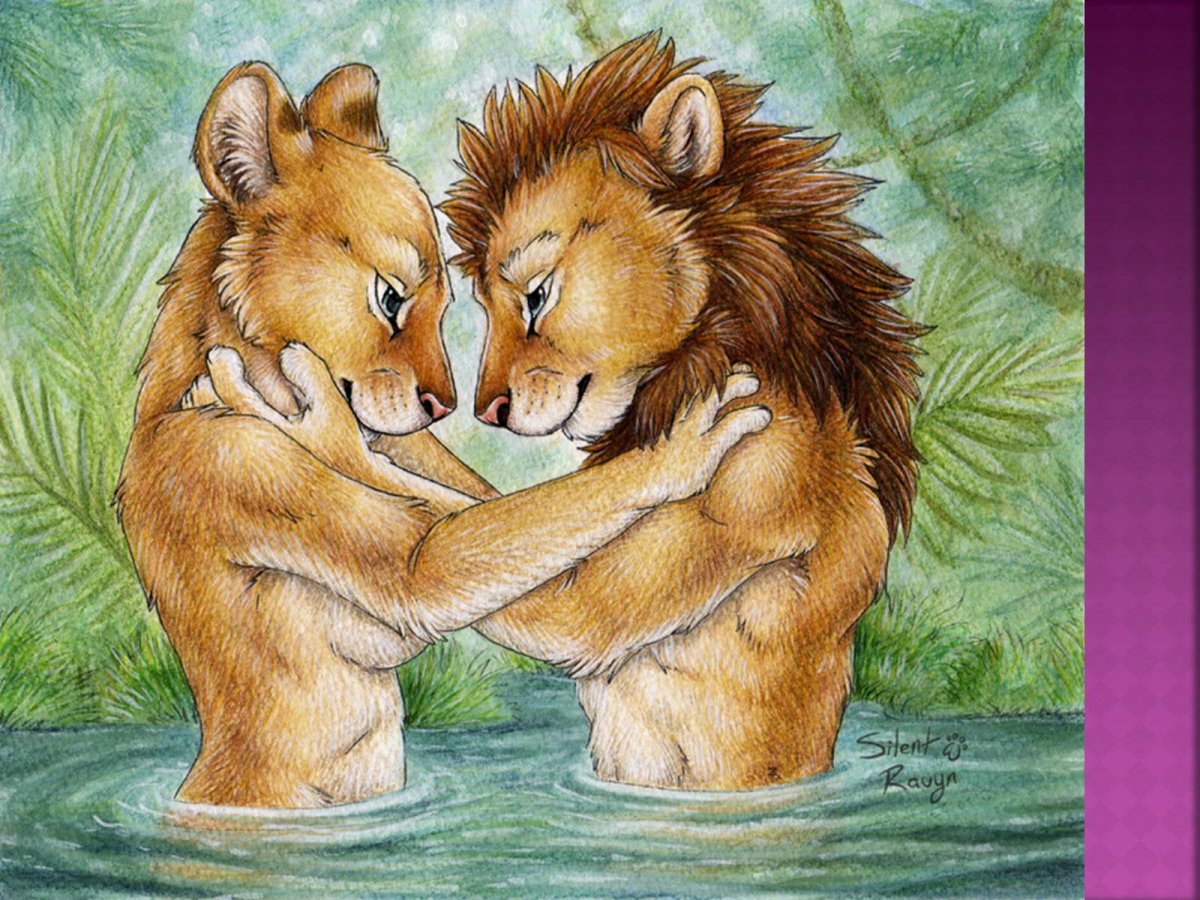 Фурри Лев и львица